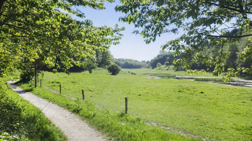 Stenbækhave omgivelser